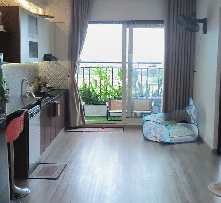 video image