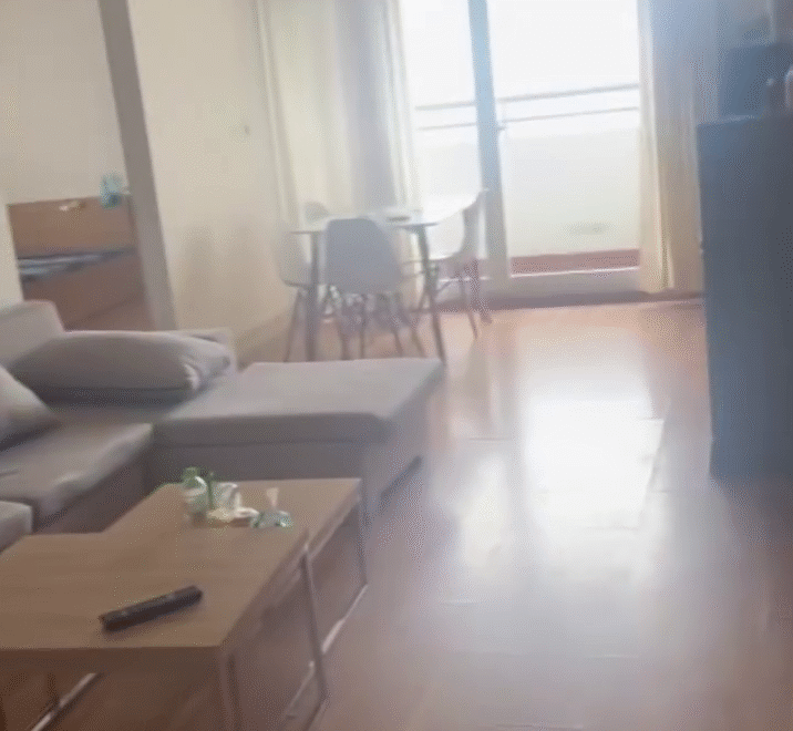 video image