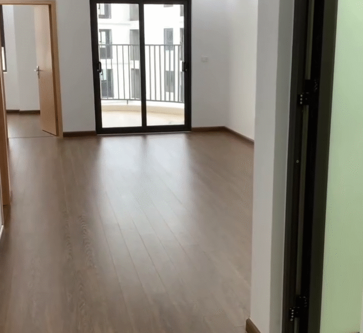 video image