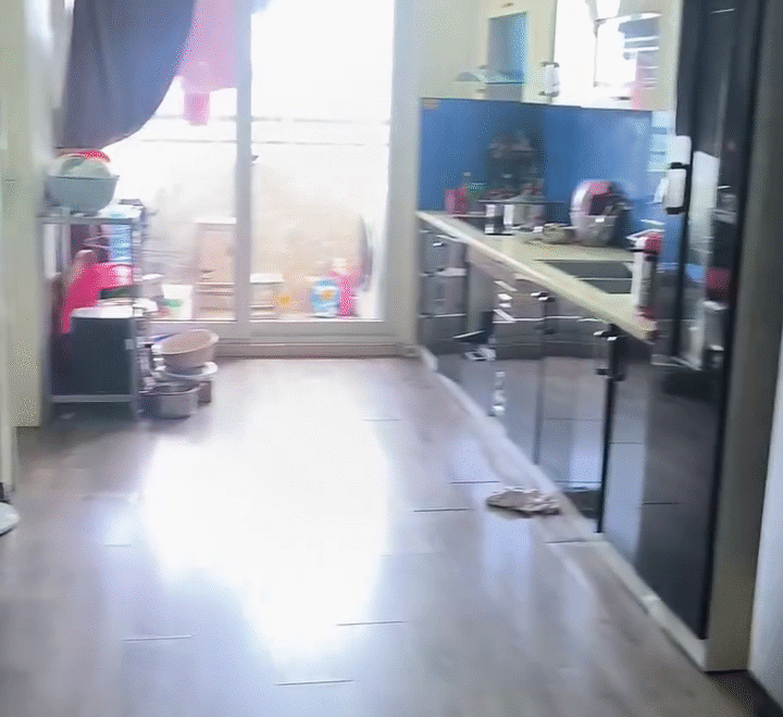 video image